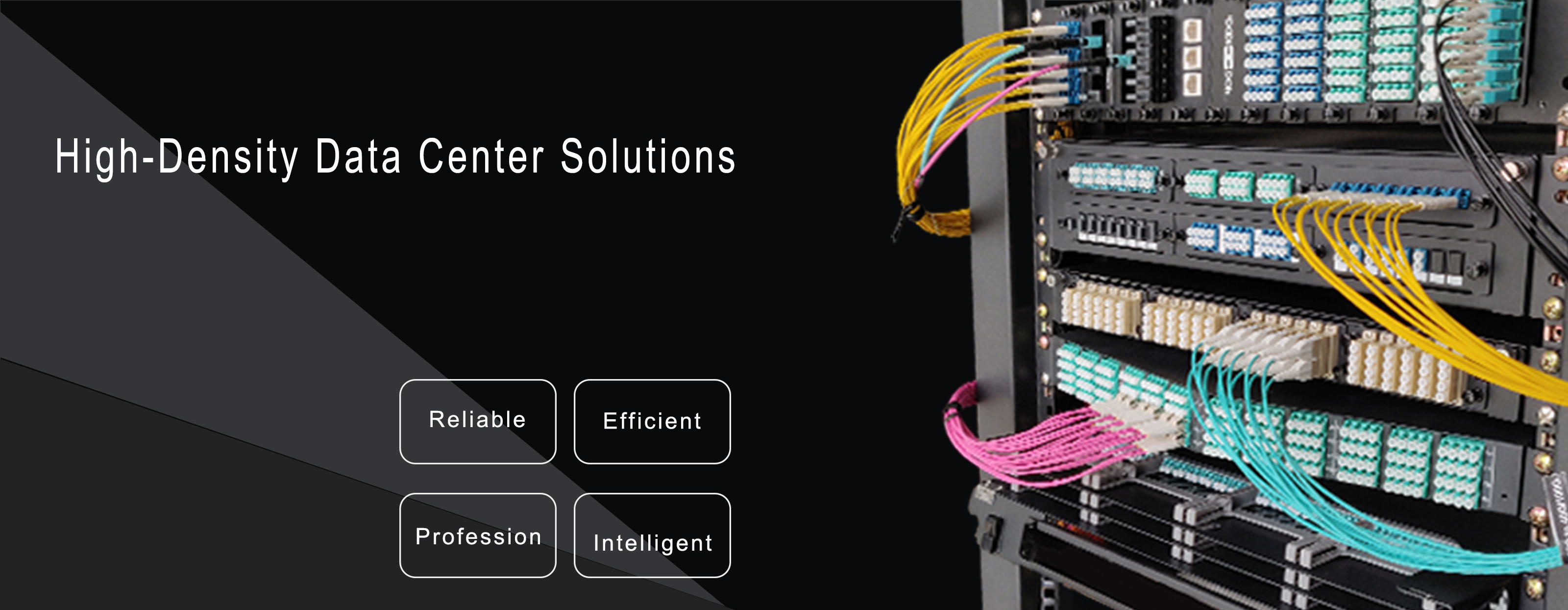 开云体育下载-passion的用法